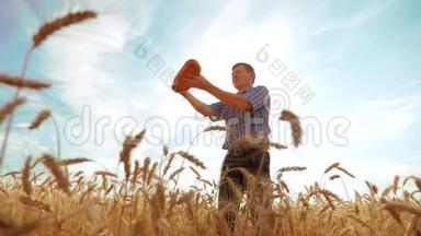 <strong>老农</strong>夫剪影面包师拿着一个金色的面包和面包在成熟的麦田里对着蓝天。慢动作